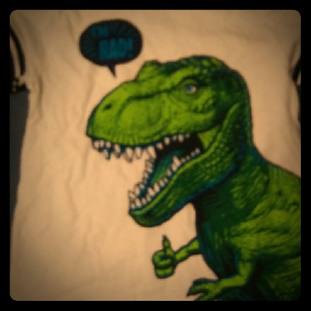 Boys Long Sleeve Dinosaur Shirt